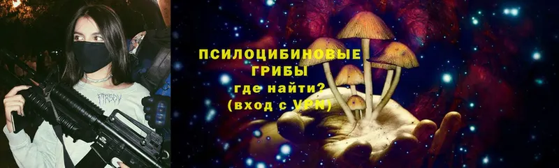 Псилоцибиновые грибы мицелий Балабаново